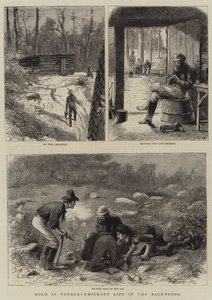 Goud in Canada, Emigrant Leven in de Wildernis
